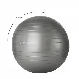 VIVEZEN Ballon De Yoga, Fitness, Gymnastique – Diam 55 Cm magasin paris 10