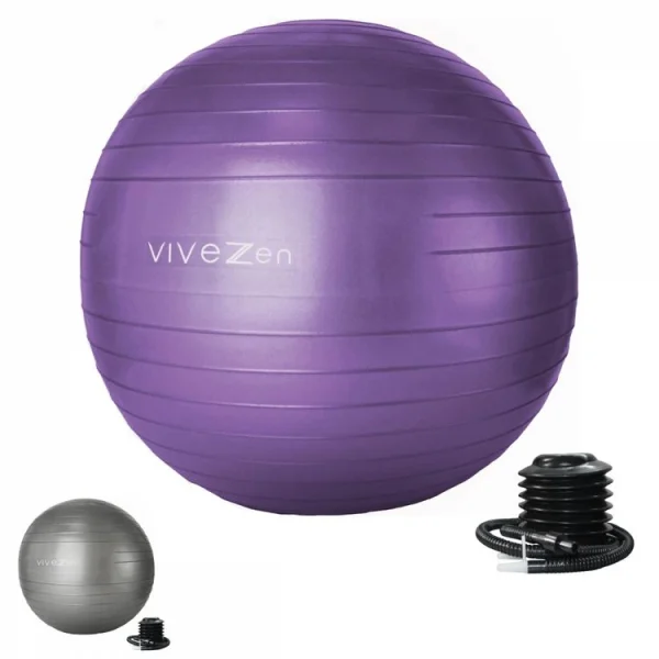 VIVEZEN Ballon De Yoga, Fitness, Gymnastique – Diam 65 Cm excellente qualité 1