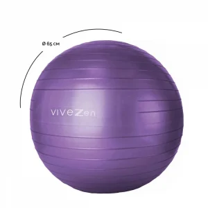 VIVEZEN Ballon De Yoga, Fitness, Gymnastique – Diam 65 Cm excellente qualité 10