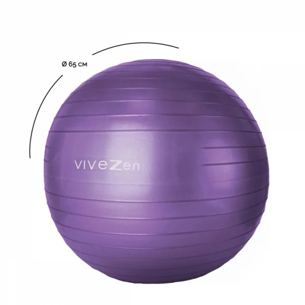 VIVEZEN Ballon De Yoga, Fitness, Gymnastique – Diam 65 Cm excellente qualité 3