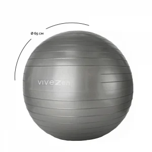 VIVEZEN Ballon De Yoga, Fitness, Gymnastique – Diam 65 Cm excellente qualité 16