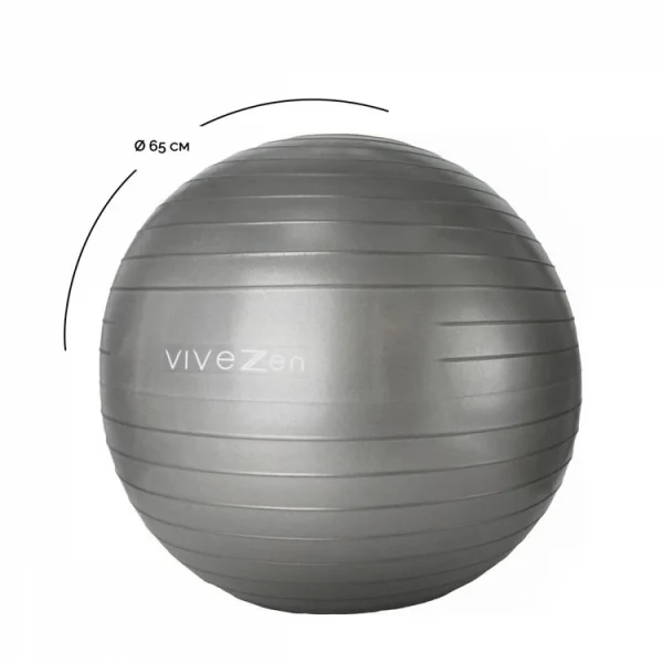 VIVEZEN Ballon De Yoga, Fitness, Gymnastique – Diam 65 Cm excellente qualité 6